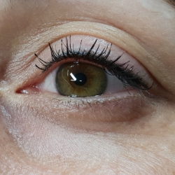 Linka-klasik-permanentni-makeup