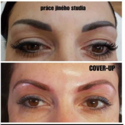 cover-up